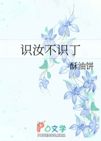 识汝不识丁
